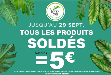 SOLDES - DERNIERE DEMARQUE !